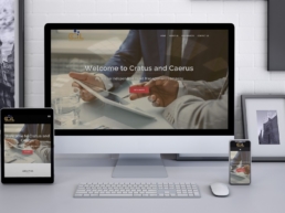 Web Designer in Lagos - RayHubs